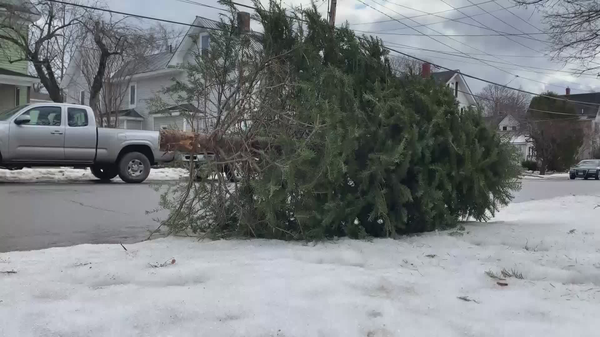 City provides help for residents to dispose of holiday trash, trees