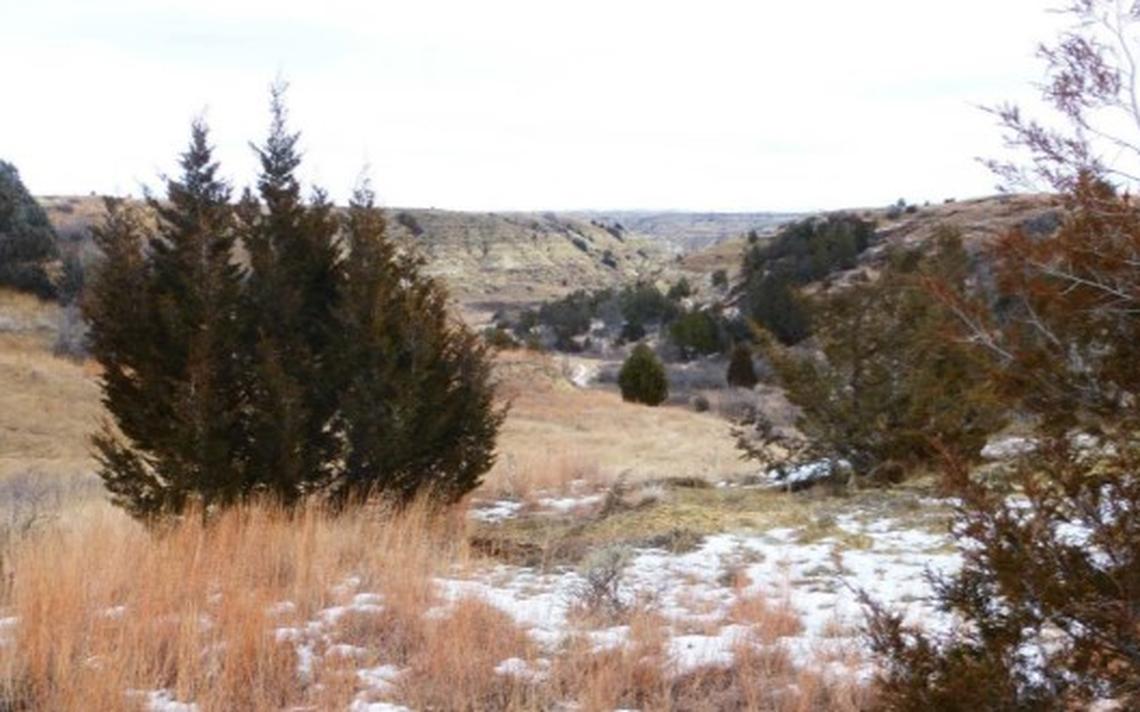 Congress paves way for Roosevelt library to buy land in western North Dakota
