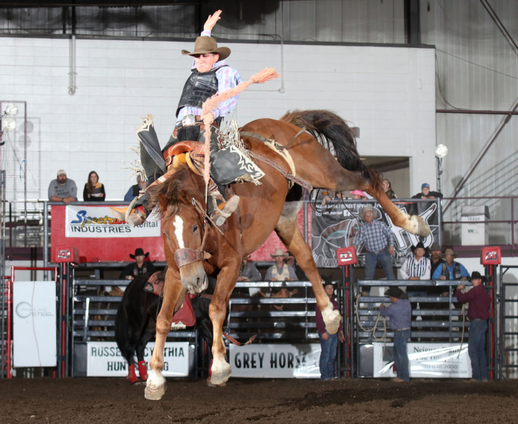 Badlands Circuit selects bucking horses, bulls of the year and the finals