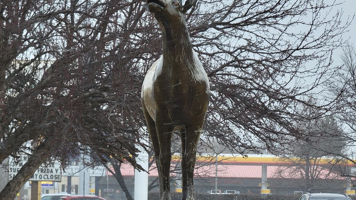 Antlers stolen from Bismarck Elks Lodge elk statue