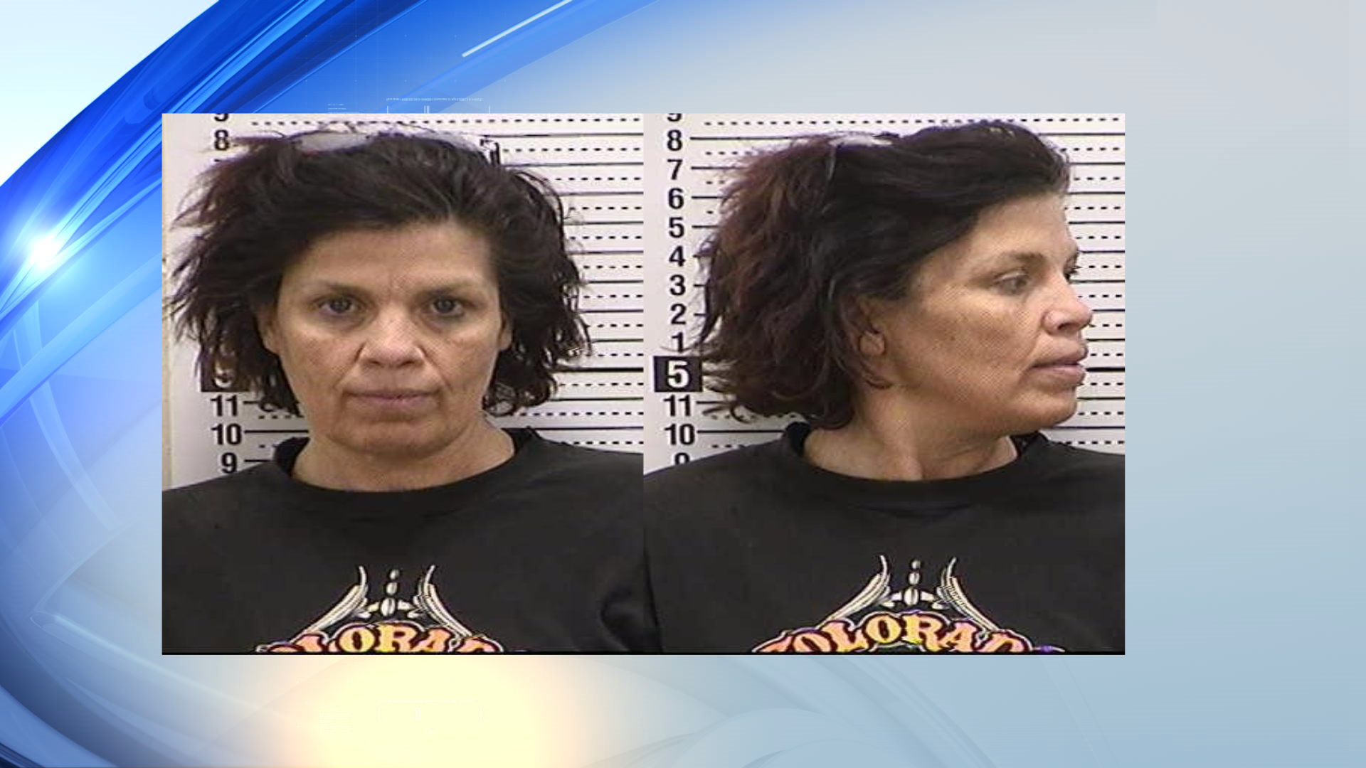 Carpio woman charged in fraud investigation