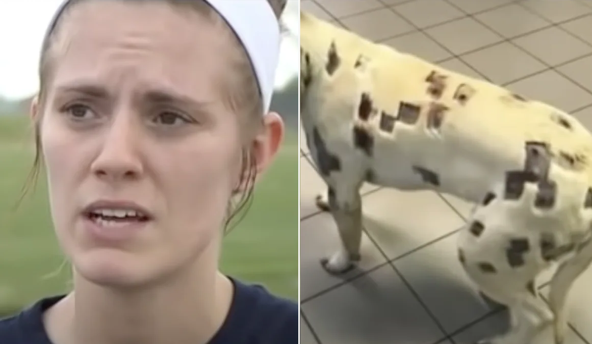 Woman discovers her dog covered in odd marks, stunned when the veterinarian tells her what they are!