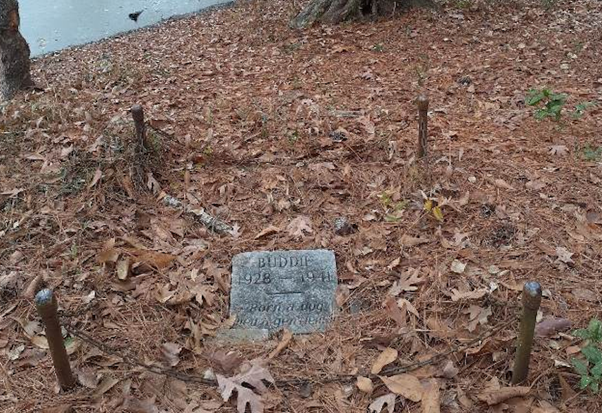 Tears filled passerby’s eyes ‘when he saw what was written on tiny grave’ in the middle of the woods!