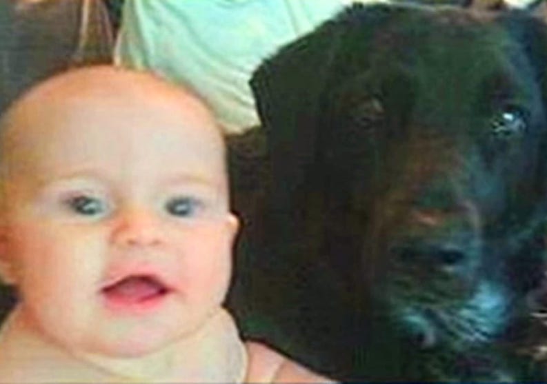 Dog barked at the babysitter, so mom installed hidden camera and ‘revealed the troubling truth’!