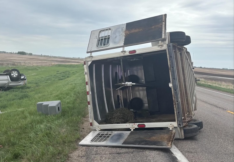 North Dakota driver survives violent rollover crash on Highway 41, horse being towed in trailer also sustained injuries during the crash
