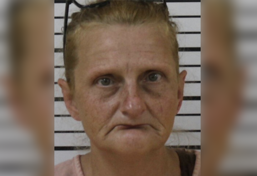 Elderly Tennessee woman sues North Dakota authorities for $10 million after AI facial recognition error turned her into bank theft suspect and sent her to jail for months